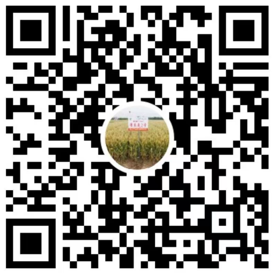 微信二维码
